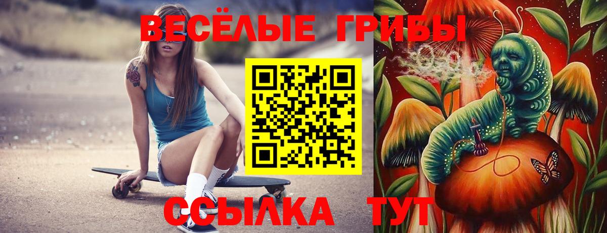 цены наркотик  Галлюциногенные грибы Psilocybe  Вход с VPN  Санкт-Петербург 