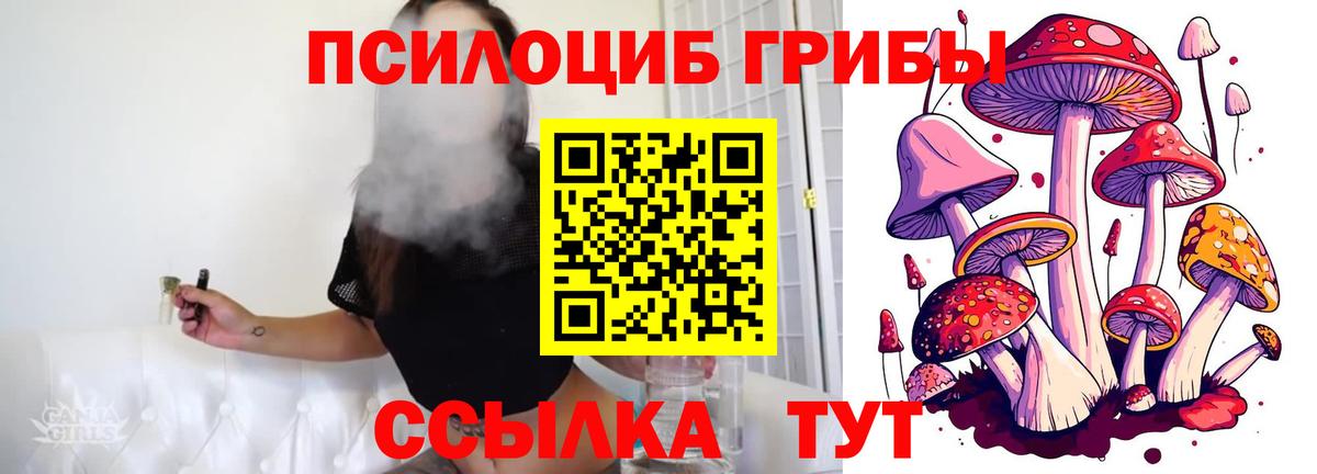 Галлюциногенные грибы Cubensis Санкт-Петербург
